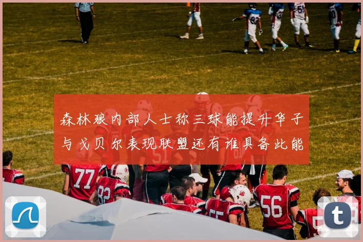 森林狼内部人士称三球能提升华子与戈贝尔表现联盟还有谁具备此能力